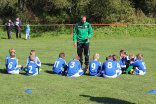 开云官方网页登录-中国篮球教练员战术创新能力培养及培训机制研究，全国篮球教练员岗位培训