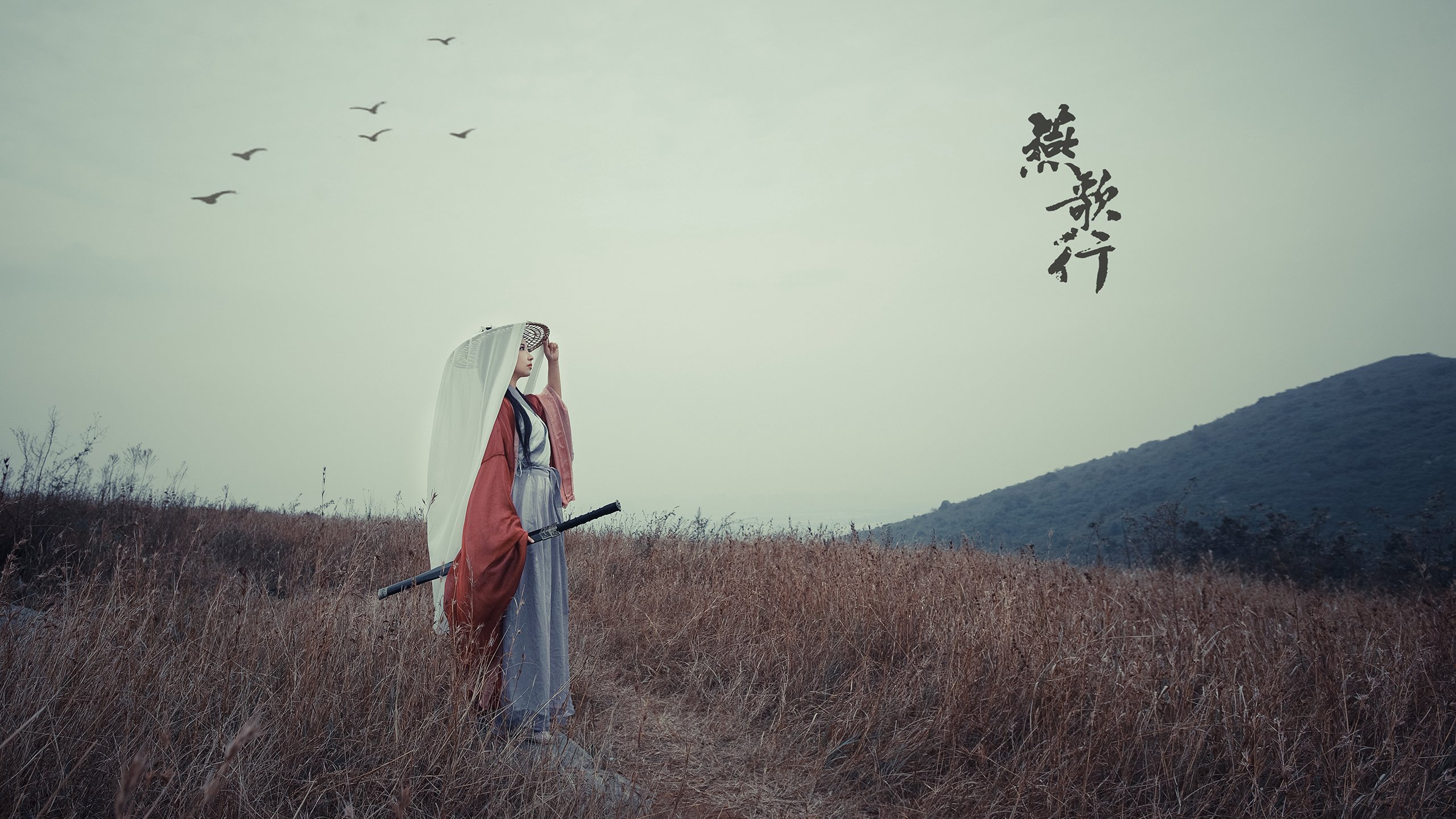 中国篮球教练员战术创新能力培养机制，篮球训练教练简介