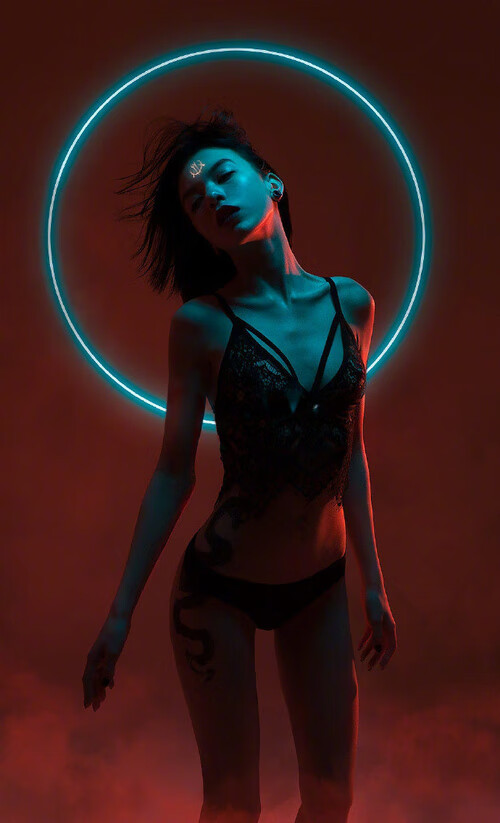 中国篮球教练员执教技能提升路径探讨,中国篮球教练员的等级结构