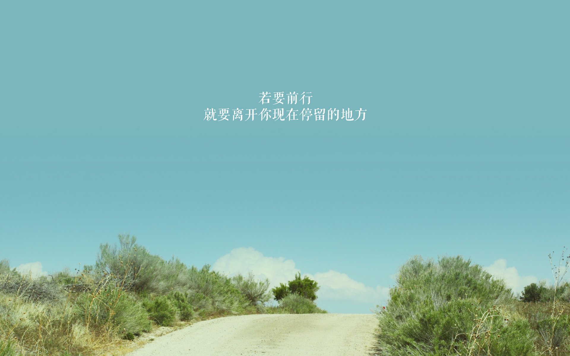 中国篮球教练员教学方法现代化改革与实践探索，全国篮球教练员岗位培训