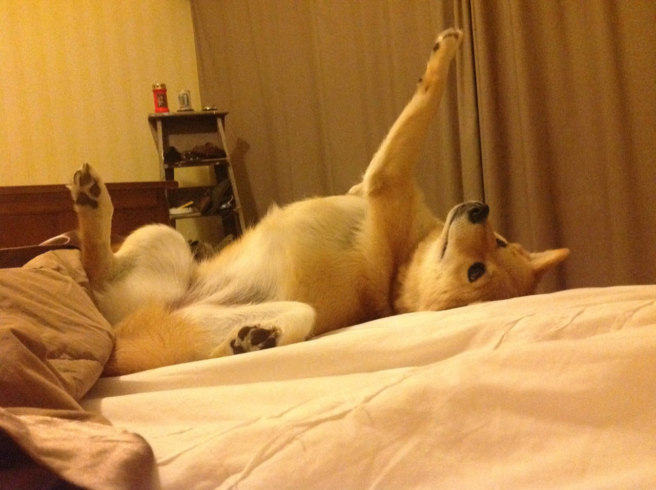 中小学体育课堂创新教学法探讨,小学体育创新教学论文