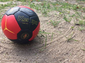 开云网站-全国老年人健身球操赛展银发激情，老年健身球类