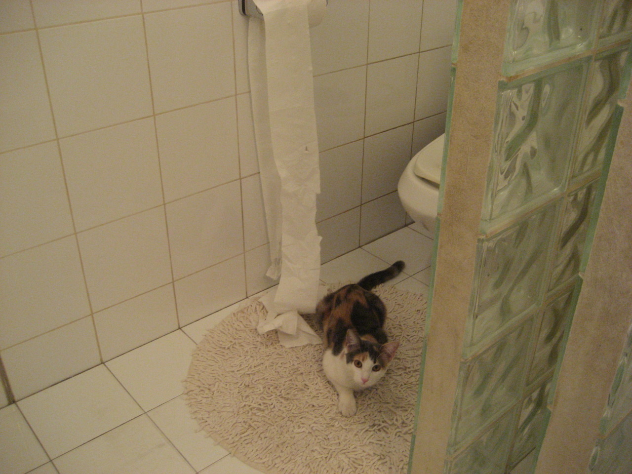 史诗般的逆转：赛季中的经典逆袭瞬间，史诗级逆转