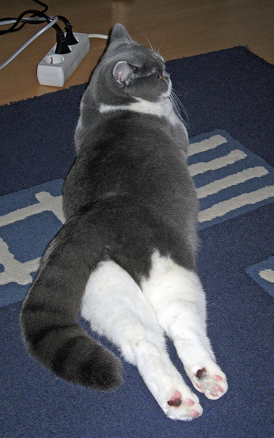 国足技术指标与比分之间的数学关系，足球比分差距