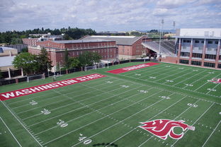 开云官网APP下载-法甲青训团队融合自我对话训练提升心理韧性，法甲青训最好的球队