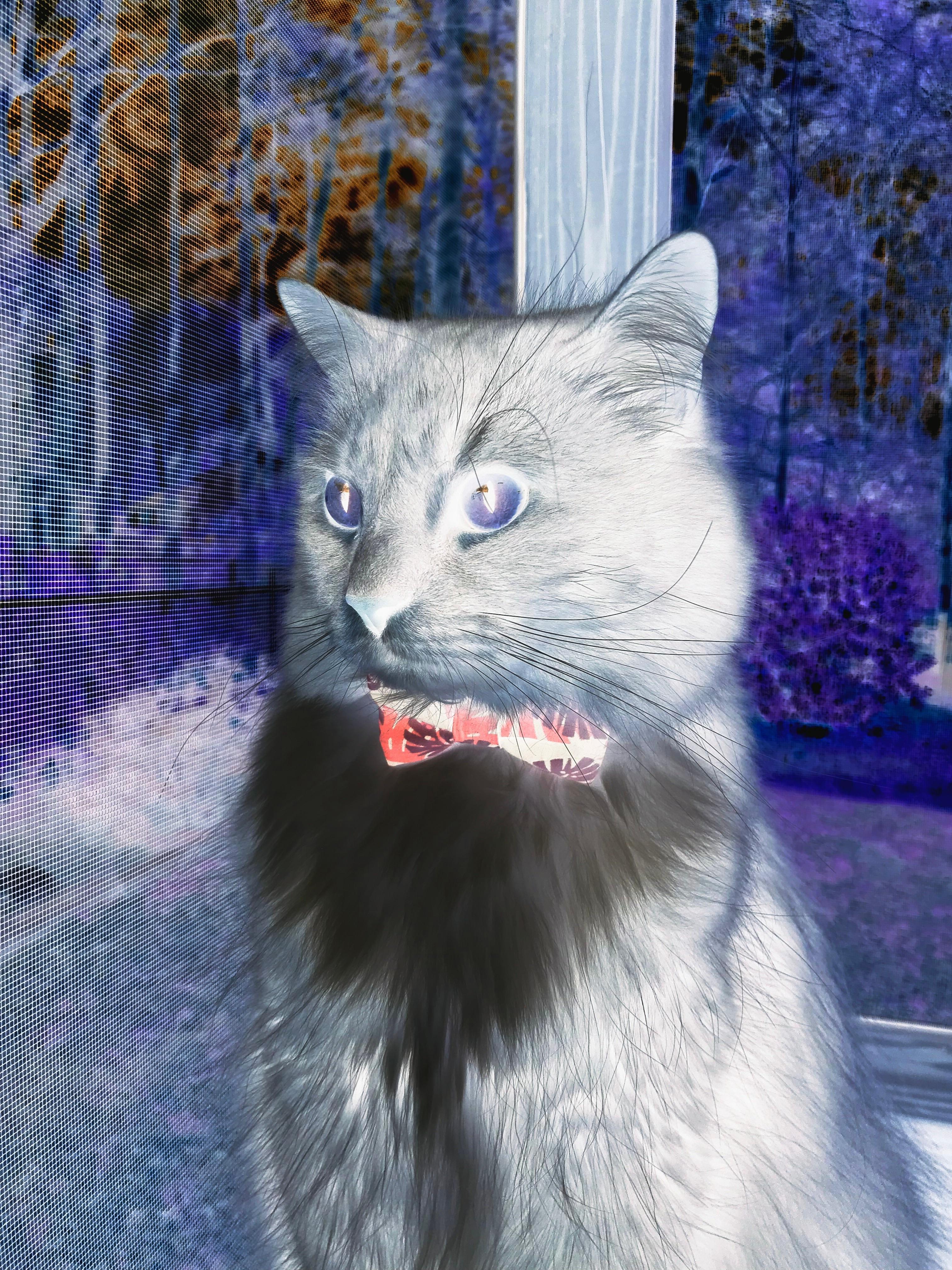 篮球运动员竞技状态实时监控与训练调整技术研究,篮球运动员竞技能力诊断方案设计