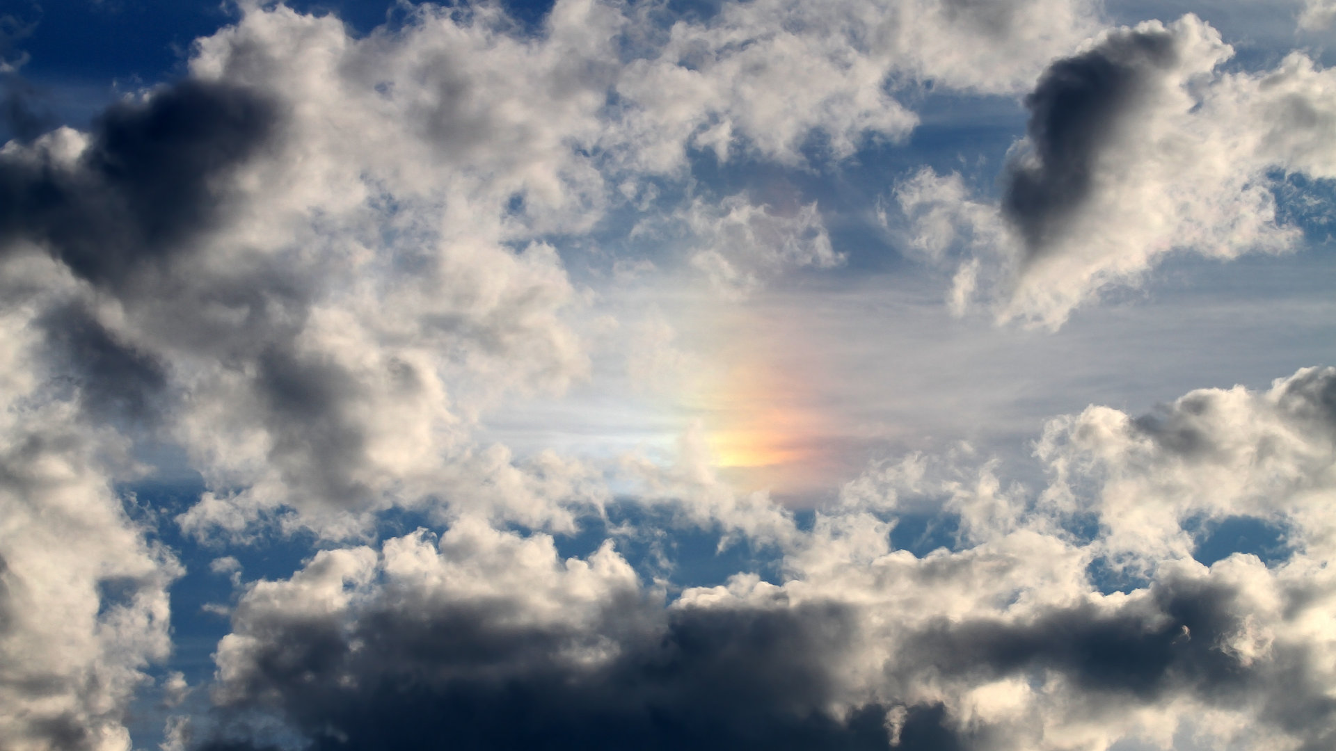 高校体育运动能力测试数据分析与应用,大学生体育锻炼数据分析