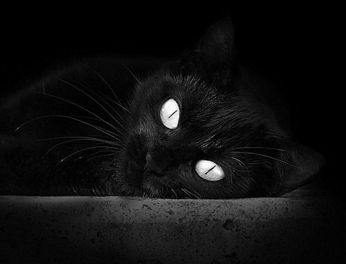 G联赛逆袭秀未来巨星初露锋芒，g联赛什么水平