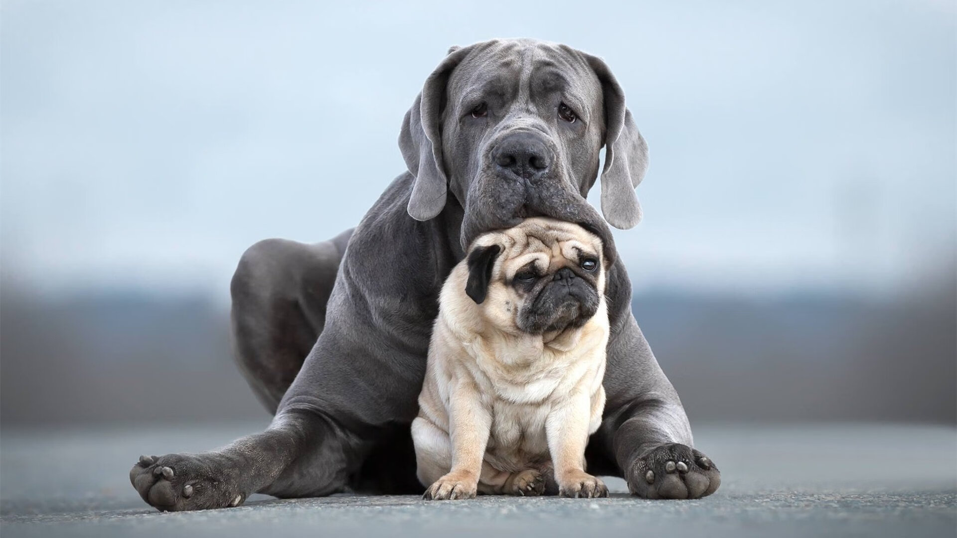 中国女篮稳固防守线 提高防守成功率,中国女篮咋样