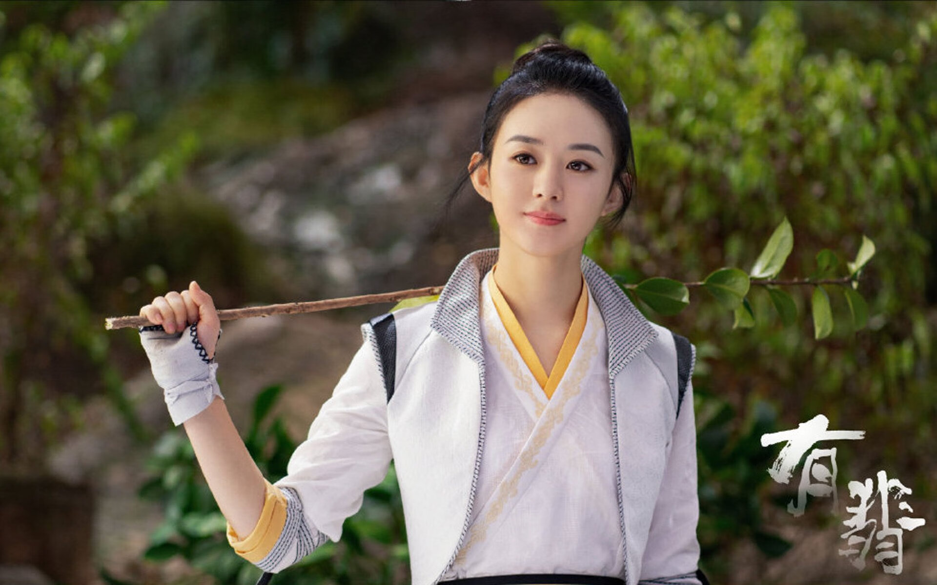 亚洲杯国家队出战 球迷期待激情点燃,亚洲杯国家足球队