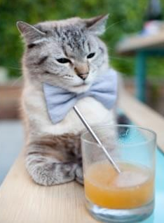 开云官网APP下载-山西龙狮借助主场优势击败强劲对手，山西龙晋vs西安骏狼