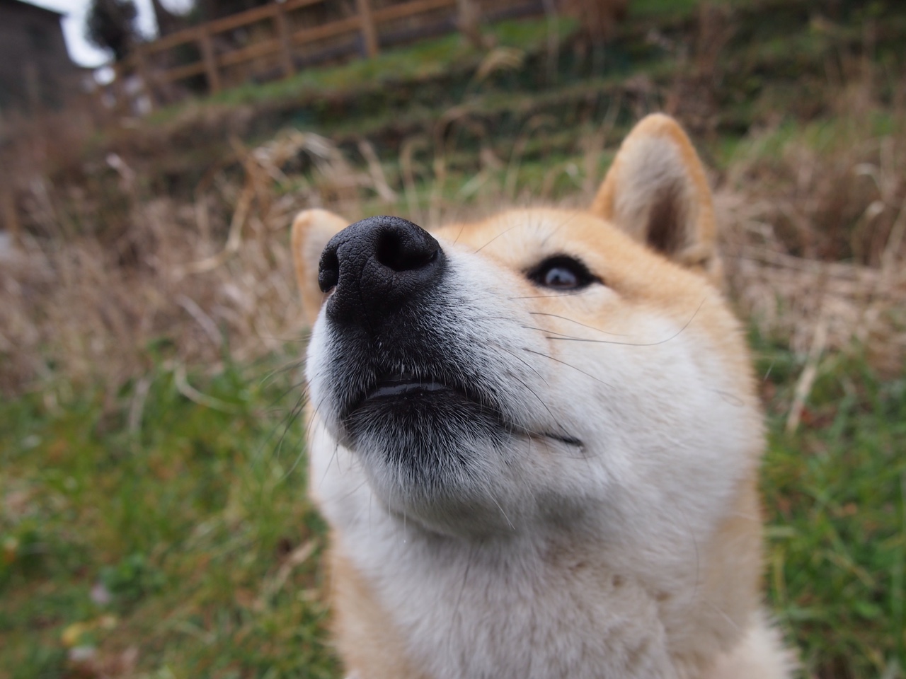 新疆男篮持续优化攻防体系强化转换效率,新疆男篮新疆男篮