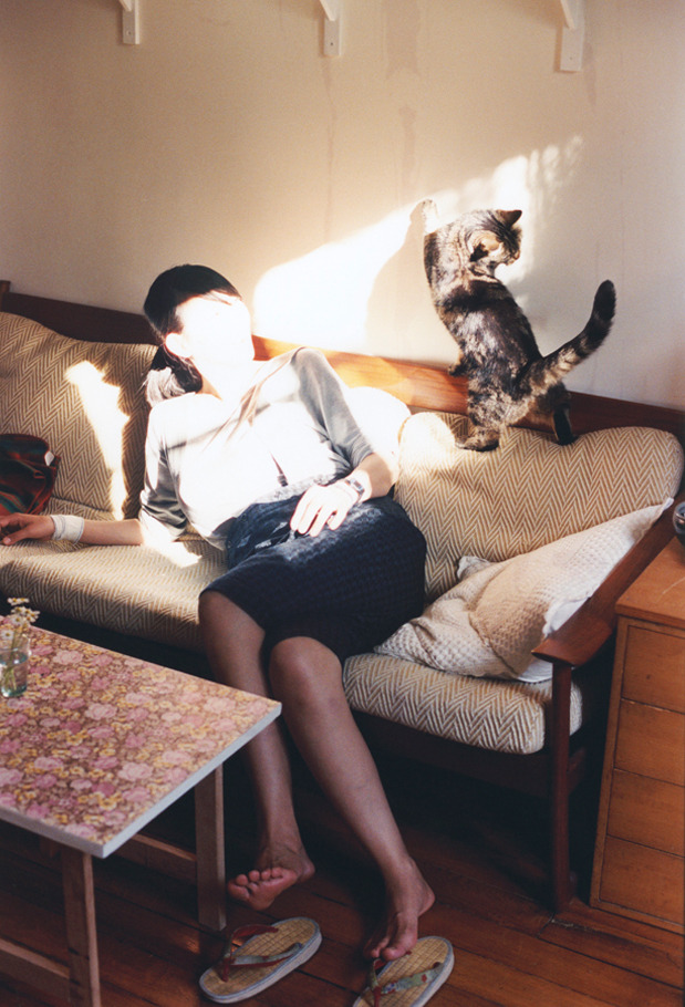 解析埃及乒乓赛制：多层次赛事体系如何激励选手，埃及队乒乓球