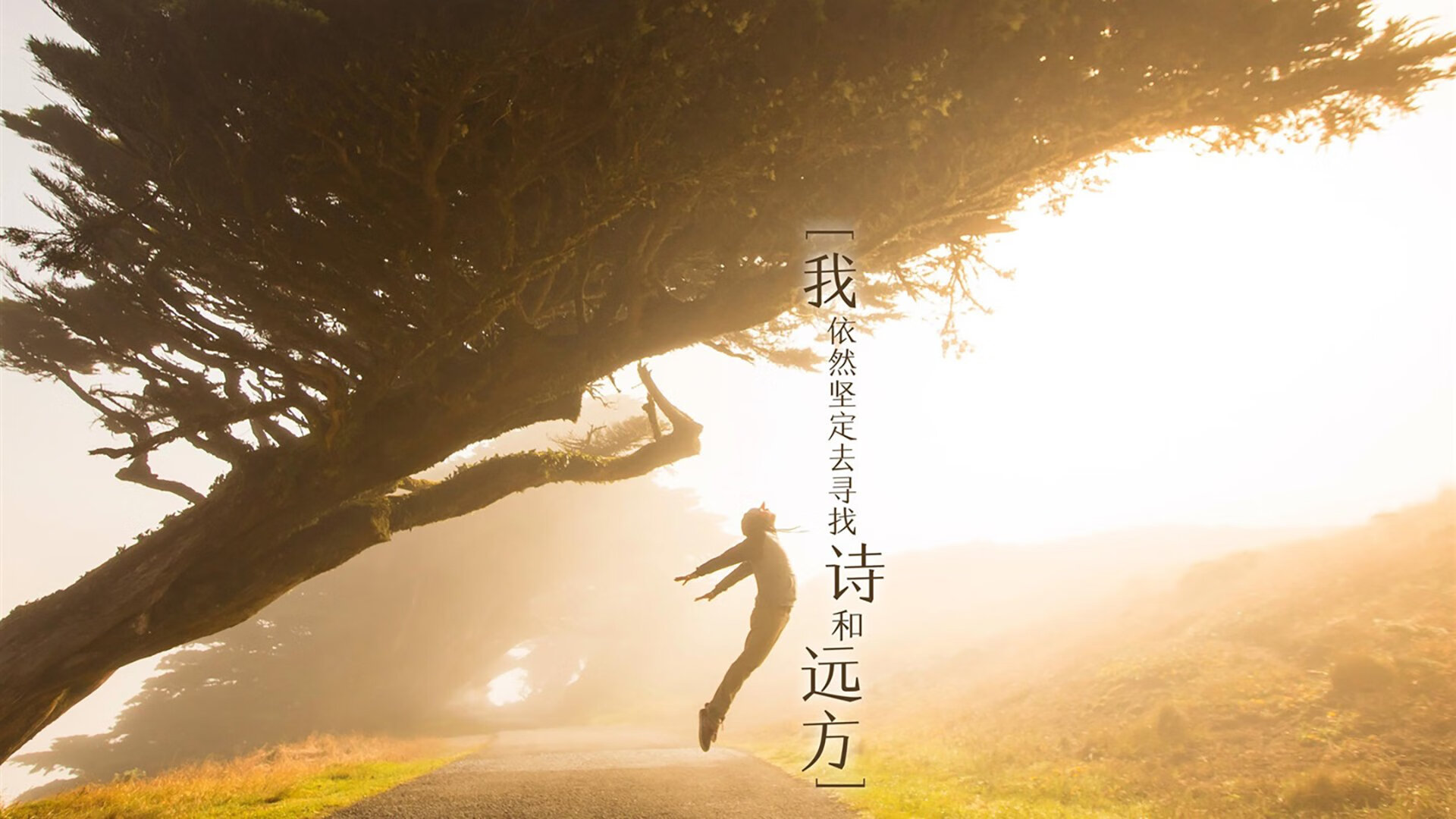 KAIYUN 中国大陆-“萨尔·巴赫：南非队的进攻核心，世界杯之旅的关键人物”