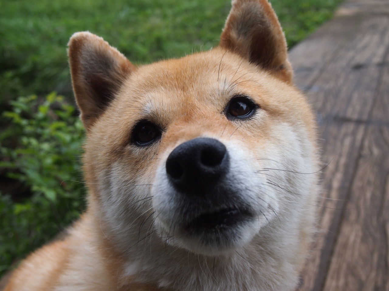 乌拉圭队士气高昂，期待在国际赛场大放异彩