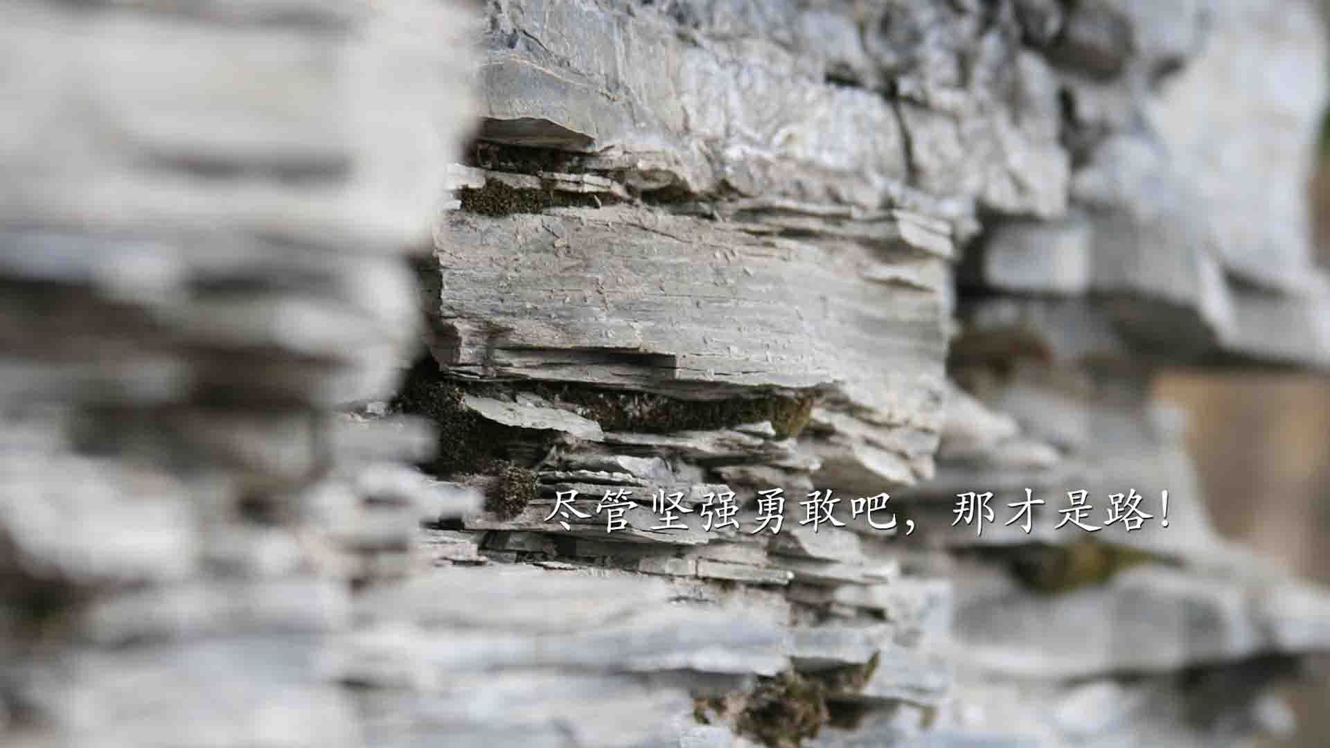 开云·Kaiyun网页版-伊朗女篮在亚洲锦标赛中夺冠，体育实力再上一层楼，伊朗女篮vs中国女篮结果