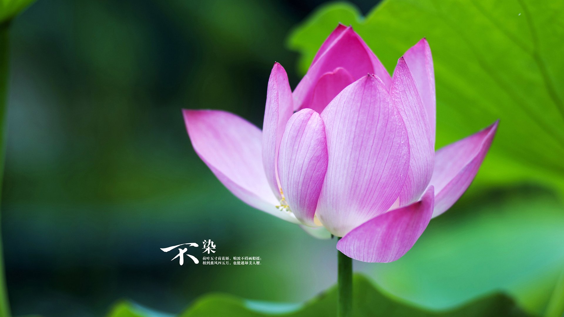 体育新闻中心通报国家队队医资质统一审核流程，国家队医生