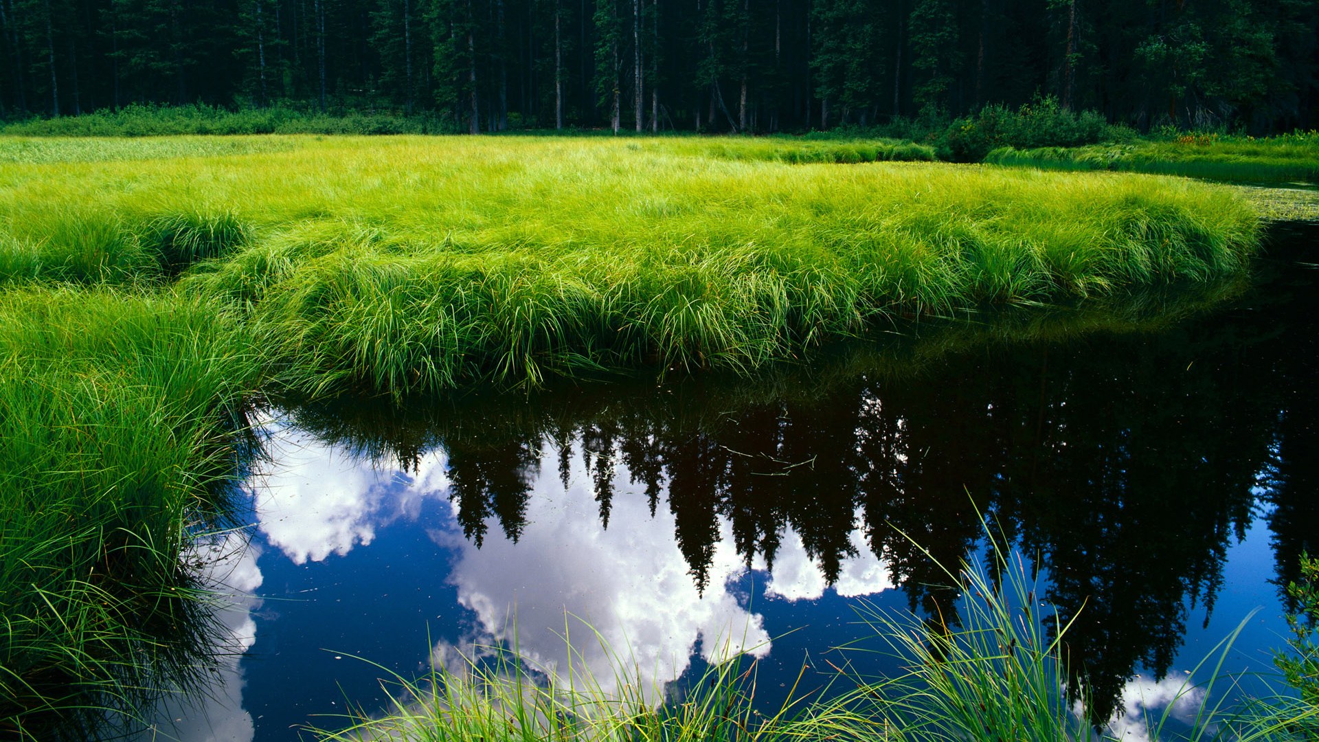 女子国家队战绩创新高,中国女子国家队成员