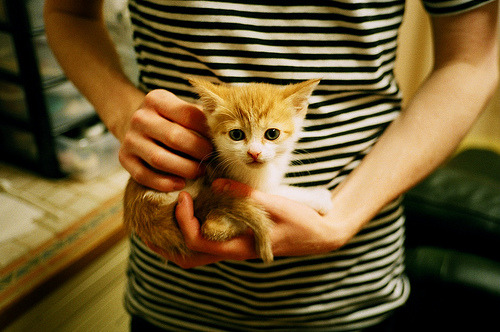 欧洲杯决胜轮:战术调整带来意想不到的最终胜利,欧洲杯决赛胜负预测