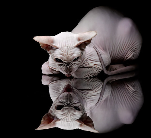 欧洲杯转折点:战术升级引爆战场,欧洲杯战状