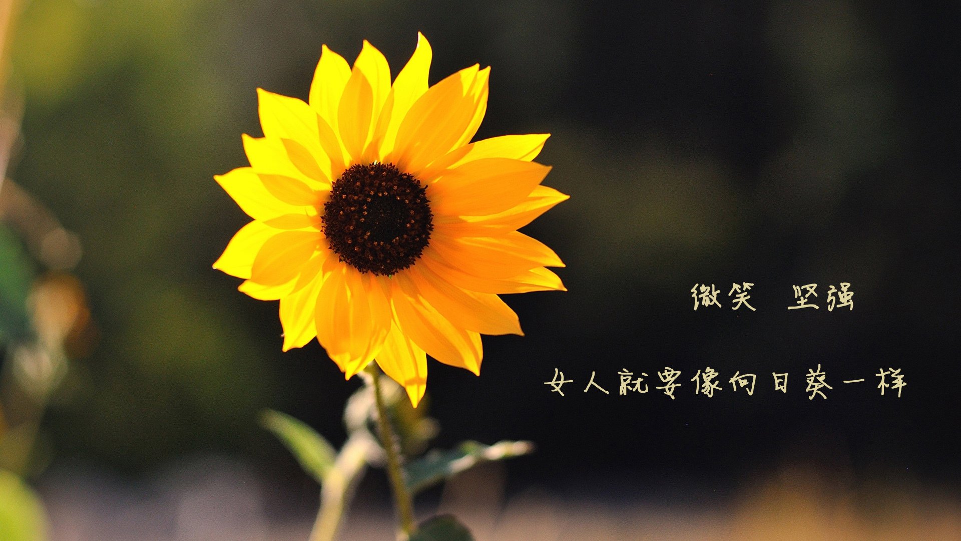 kaiyun中国官方网站-省级青训营陆续开放为未来储备人才打造基础，青训营什么时候开始的