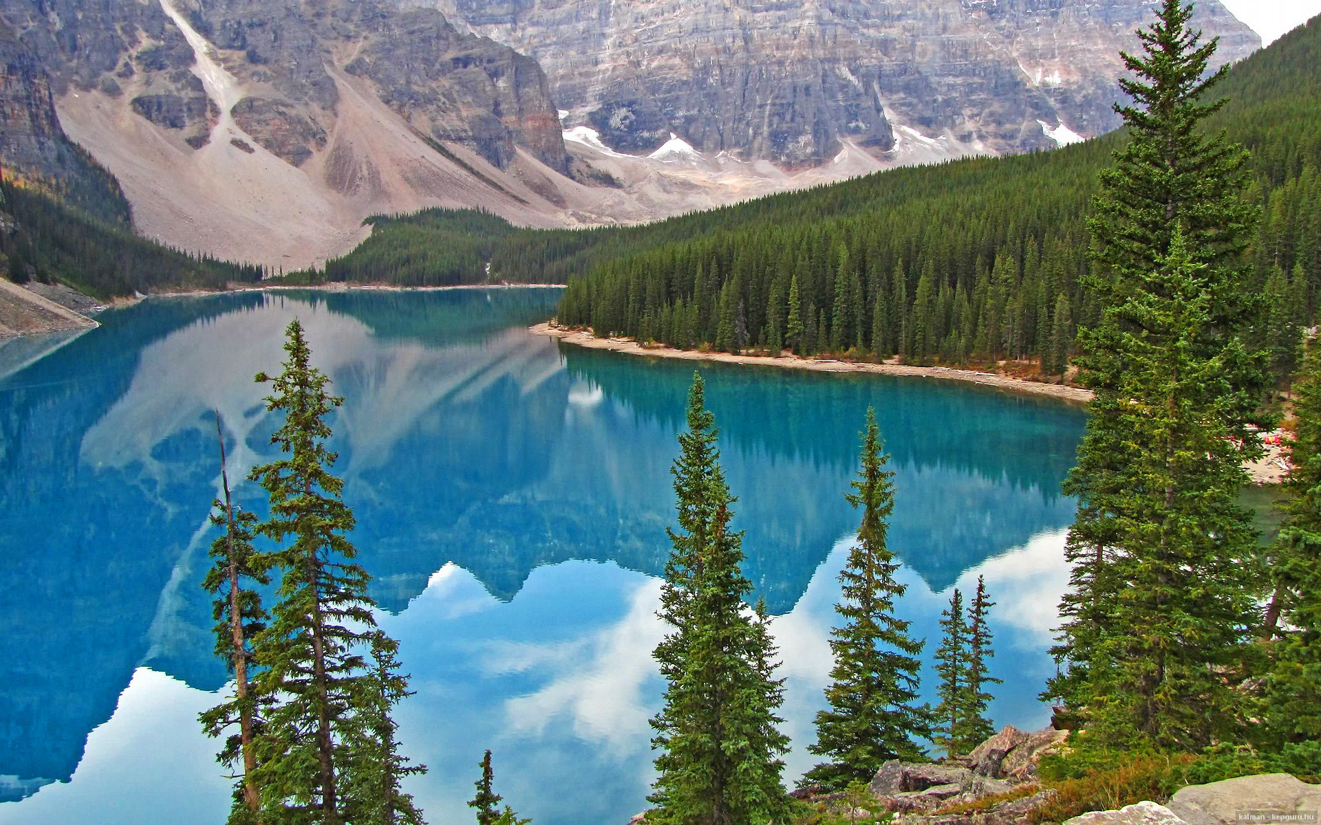 美国队接力技术细节获教练高度评价,美国队接力赛