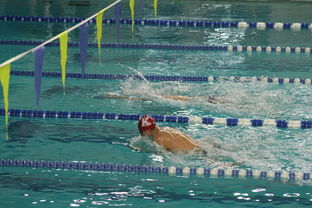 kaiyun体育app-自由泳预赛突尼斯多人晋级，自由泳2021