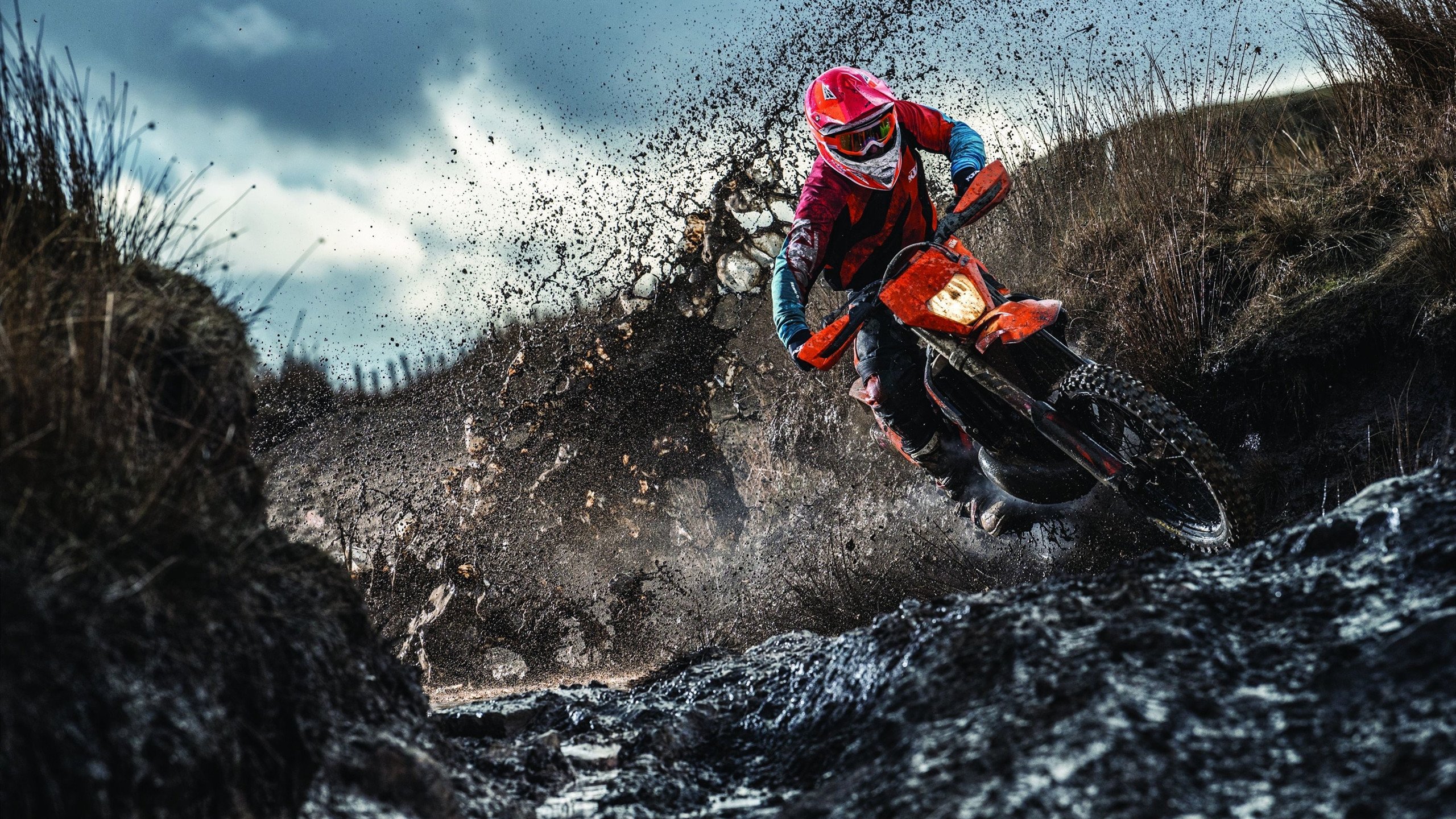 世界杯：书店推出“足球主题专架” 涉及战术、人物传记与文化研究